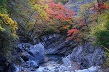 Tourist destination images of Nakazukyo Gorge(1)