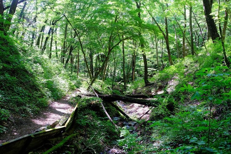 Kyū Usui Pass Viewpoint