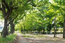 Tourist destination images of Shiba Park(2)