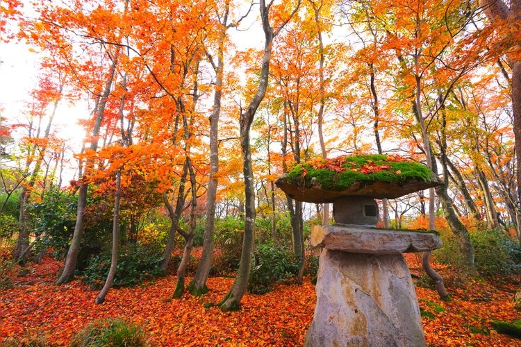 Tourist destination images of Nagaoka City Momiji Park(3)