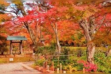 Tourist destination images of Nagaoka City Momiji Park(1)