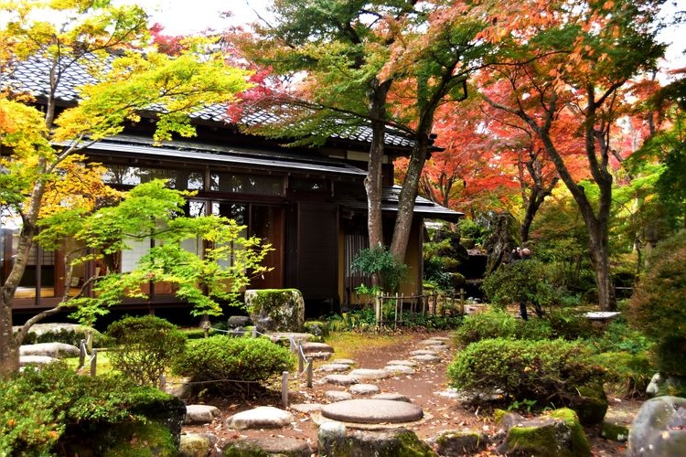 Tourist destination images of Nagaoka City Momiji Park(2)