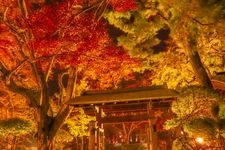 Tourist destination images of Nagaoka City Momiji Park(4)