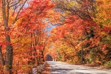 Tourist destination images of Takase Keikoku (Gorge)(1)