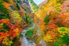 Tourist destination images of Takase Keikoku (Gorge)(2)