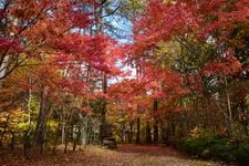 Tourist destination images of Hida-Mino Seseragi Kaido(1)