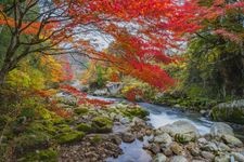 Tourist destination images of Oihira Park(2)