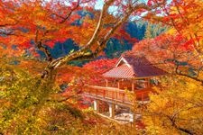 Tourist destination images of Oihira Park(1)