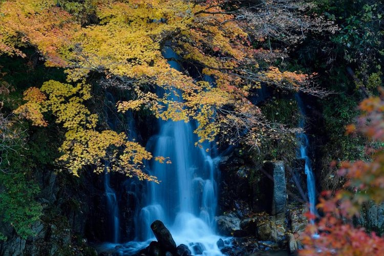 Tourist destination images of Oihira Park(3)