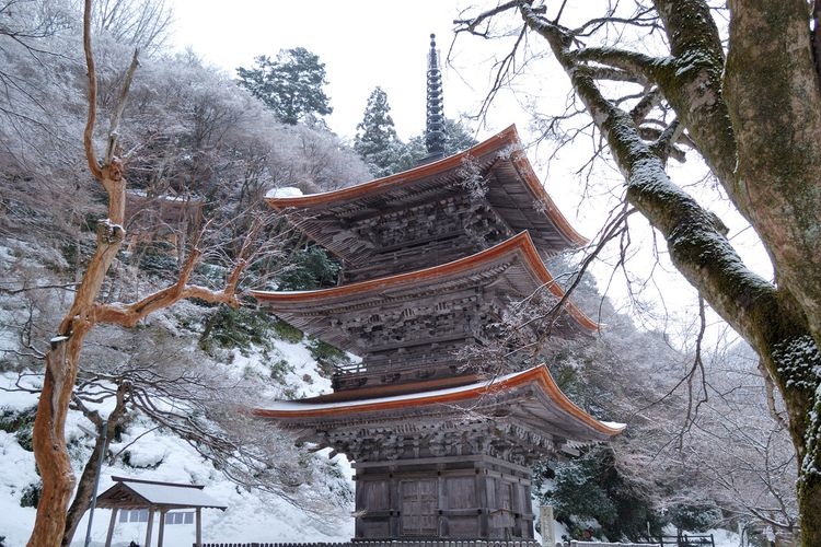 Kongouin Temple