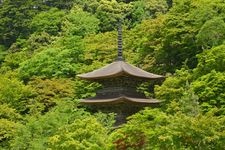 Tourist destination images of Kongouin Temple(2)