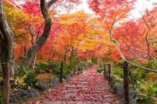 Tourist destination images of Houkyouin Temple(1)