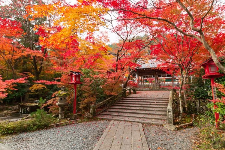 Kuwayama Shrine