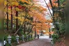 Tourist destination images of Kogo Shrine(1)