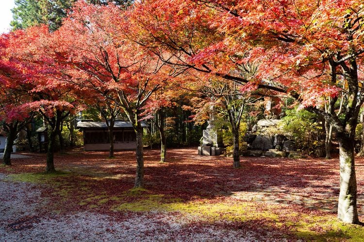 Nomiyama Kannon-ji Temple