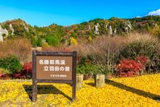 Tourist destination images of Tatehada-no-kei(1)