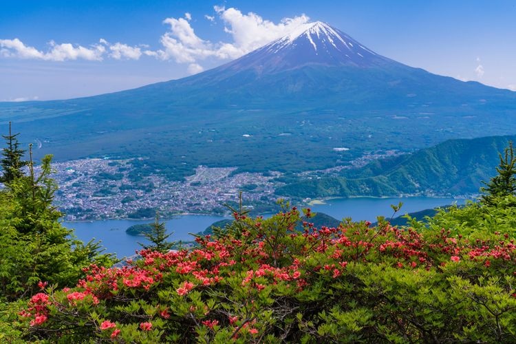 FUJIYAMA Twin Terrace