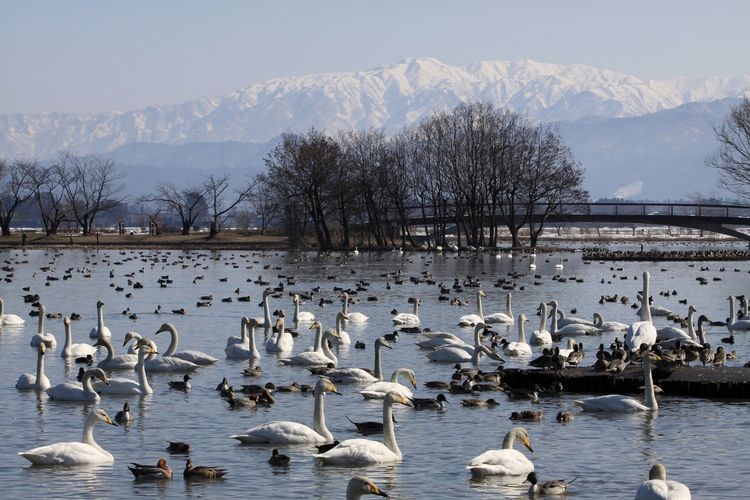 Hyakko Lake