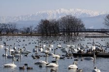 Tourist destination images of Hyakko Lake(1)