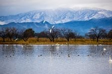 Tourist destination images of Hyakko Lake(3)