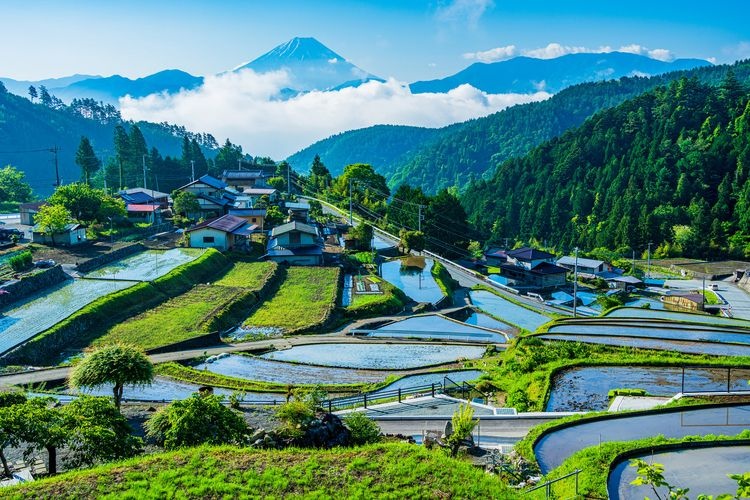 Hirabayashi Rice Terraces