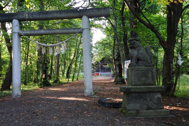 Tourist destination images of Urausujinja Shrine(2)