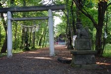 Tourist destination images of Urausujinja Shrine(2)