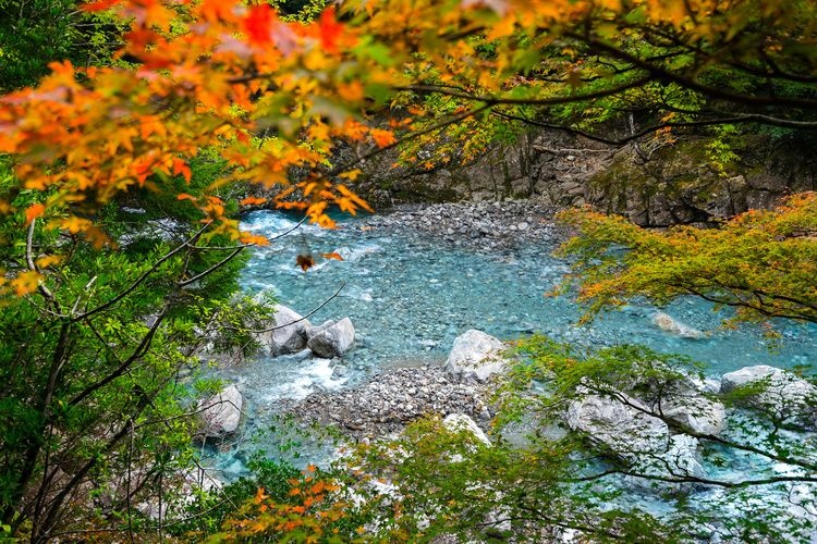 Osugi Valley