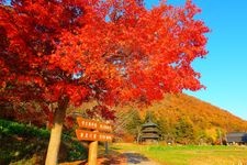 Tourist destination images of Yakutsu Hachiman Shrine(1)
