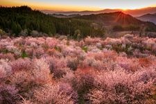 Tourist destination images of Sakura-toge(3)