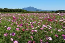 Tourist destination images of Kobegawa Fureai Park(2)