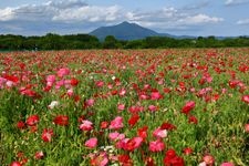 Tourist destination images of Kobegawa Fureai Park(3)