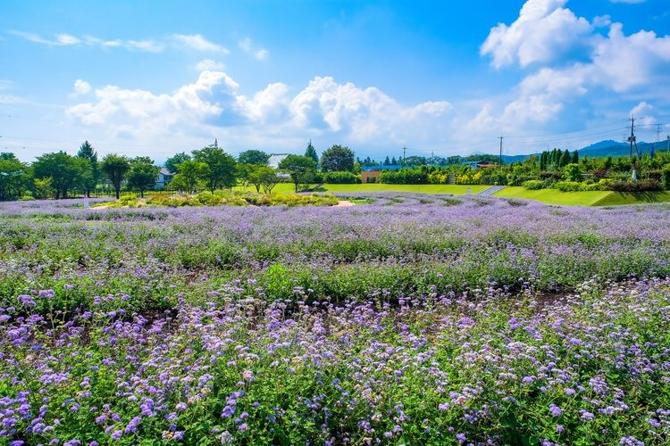 Nakanojo Gardens