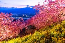 Tourist destination images of Nishihirahata Park (Matsudayama Herb Garden)(3)
