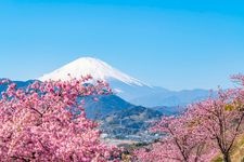 Tourist destination images of Nishihirahata Park (Matsudayama Herb Garden)(3)