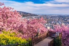 Tourist destination images of Nishihirahata Park (Matsudayama Herb Garden)(4)