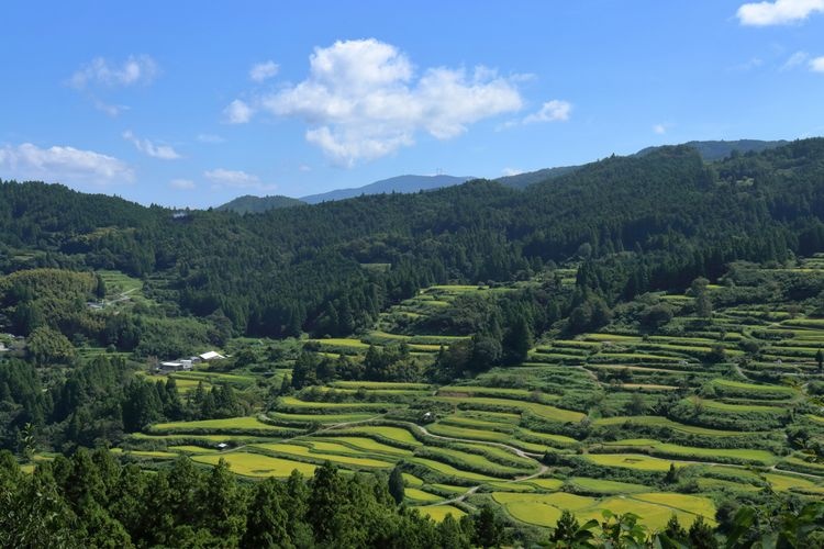 Tourist destination images of Yoshinobu Rice Terraces(3)