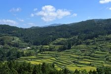 Tourist destination images of Yoshinobu Rice Terraces(3)