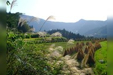 Tourist destination images of Yoshinobu Rice Terraces(2)