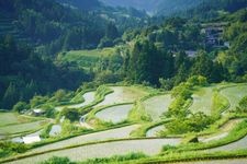 Tourist destination images of Yoshinobu Rice Terraces(1)