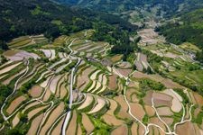 Tourist destination images of Yoshinobu Rice Terraces(1)
