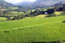 Tourist destination images of Yoshinobu Rice Terraces(2)