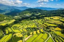 Tourist destination images of Yoshinobu Rice Terraces(3)