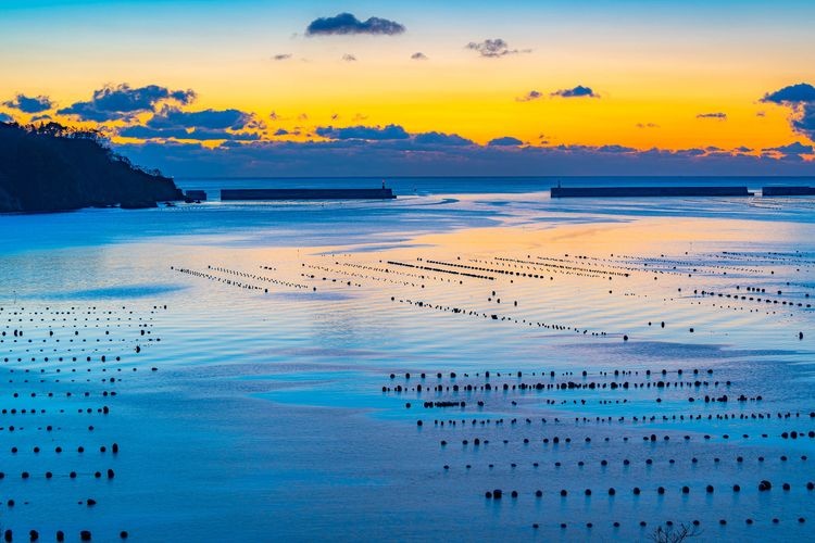 Ofunato Bay