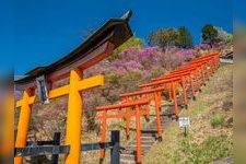 Tourist destination images of Shishizaki Inari Shrine(2)