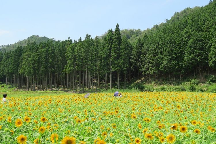 Awaji Island National Garden, Akashi Kaikyo Park