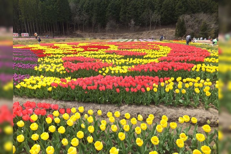 Awaji Island National Garden, Akashi Kaikyo Park