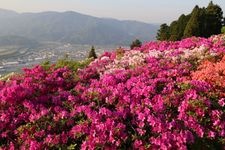 Tourist destination images of Fujiyama Park(3)