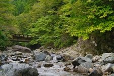 Tourist destination images of Fukuchi Gorge(1)