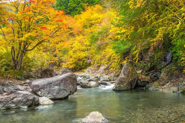 Tourist destination images of Fukuchi Gorge(2)